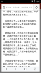 爱游戏网站罗马赞助商